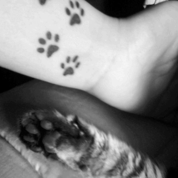 huellas de gato tattoo tatuajes 7 - tatuajes de gatos