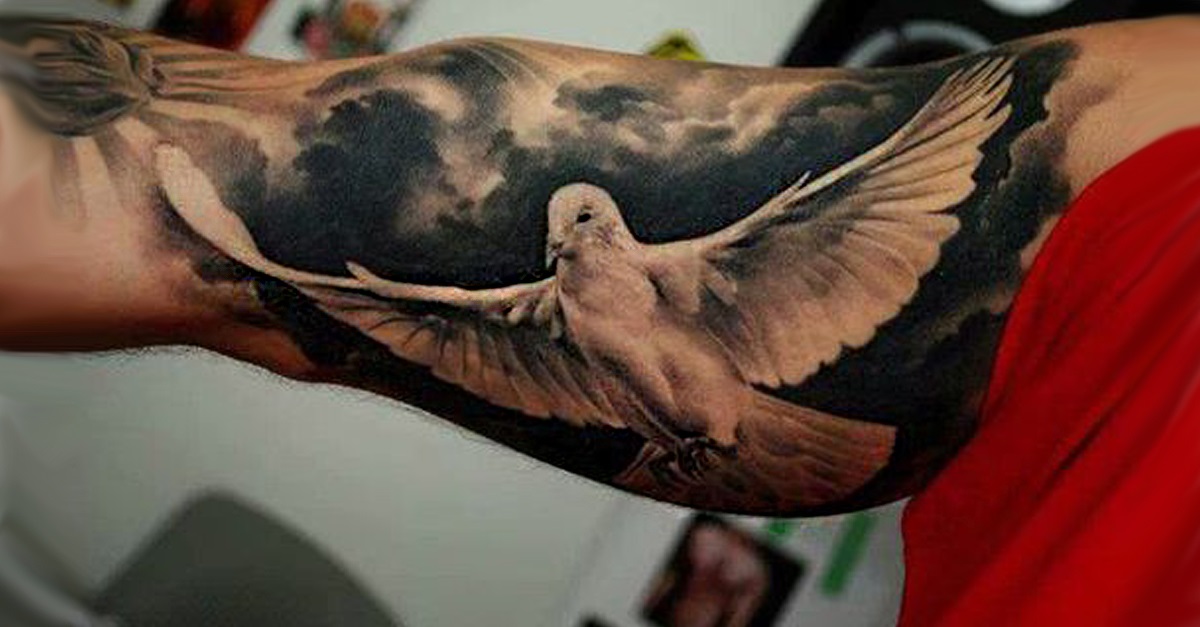 portada tatuajes palomas - tatuajes de búhos