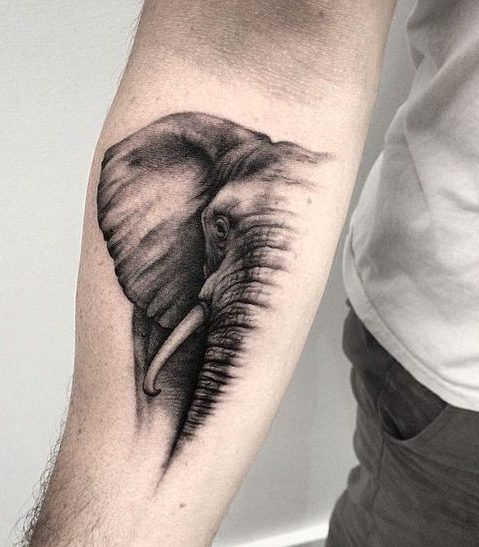 tatuajes de animales para hombres 3 e1486067566582 - tatuajes de animales