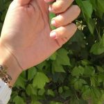 Los Tatuajes de James Rodriguez y sus significados - Tatuajes Geniales tatuajes de daniela ospina 7 - james