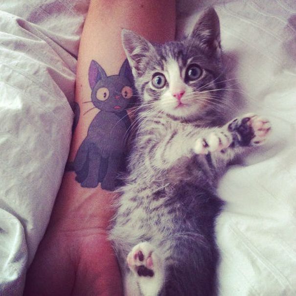 tatuajes de gatos en la muñeca gatitos 5 - tatuajes de gatos