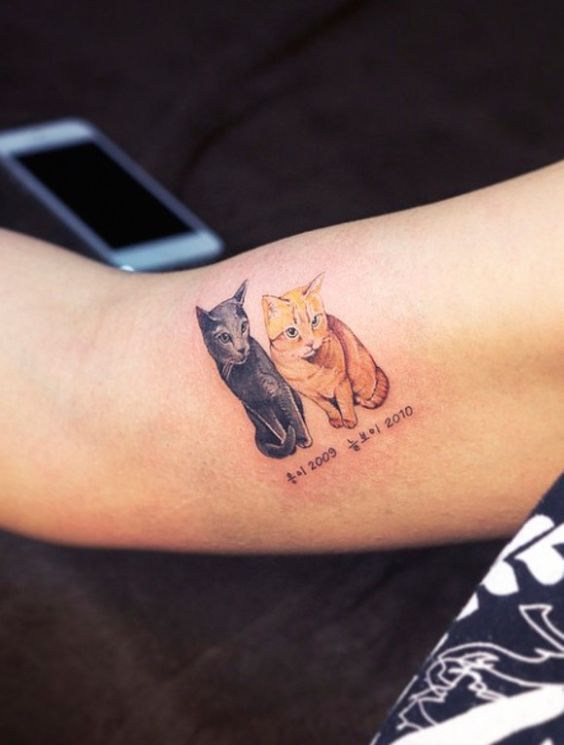 tatuajes de gatos para hombres felinos 1 - tatuajes de gatos