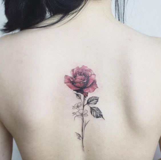 tatuajes de rosas para mujeres 2 - tatuajes de rosas