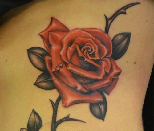 tatuajes de rosas rojas 3 - tatuajes de rosas