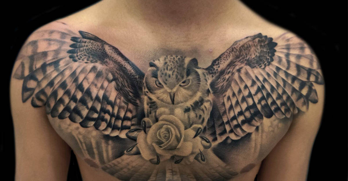 portada tatuajes lechuza buho - tatuajes de palomas