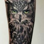 Ideias exclusivas para Tatuagem de Corujas e Lecuzas - Grandes Tatuagens tattoo lechuza buhos brazos 5 - tatuajes de búhos