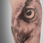 Ideias exclusivas para Tatuagem de Corujas e Lecuzas - Grandes Tatuagens tatuajes buhos lechuzas hombre brazo tattoo 4 - tatuajes de búhos