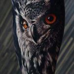 Ideias exclusivas para Tatuagem de Corujas e Lecuzas - Grandes Tatuagens tatuajes buhos lechuzas hombre brazo tattoo 5 - tatuajes de búhos