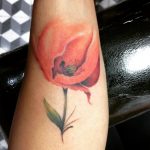 Roy Lodela Mexico df - méxico