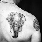 fraktalstudio mexico - méxico