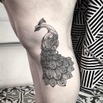 mr.traskone - méxico