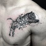 mr.traskone df - méxico