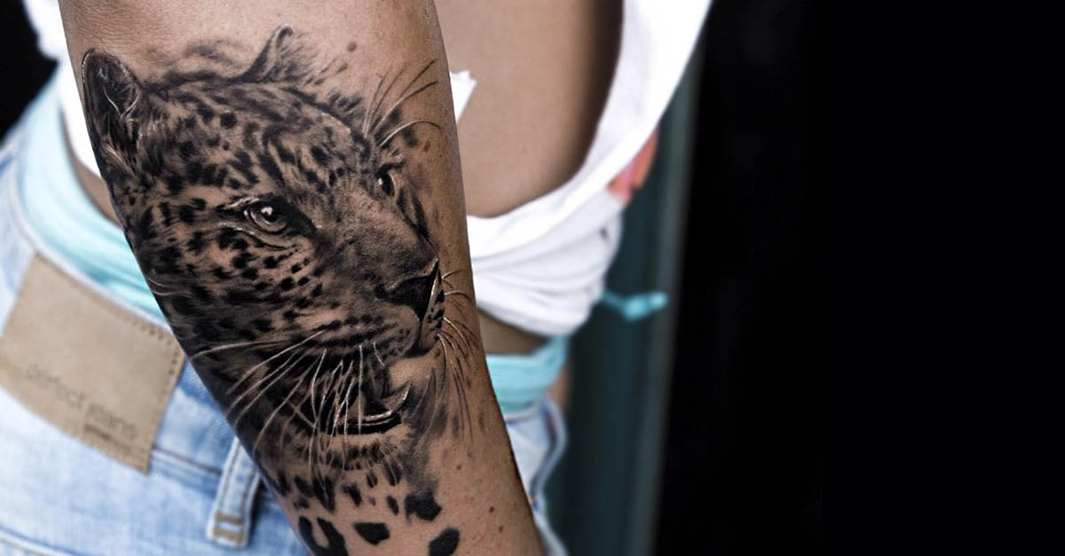 portada tatuajes de tigres - leones