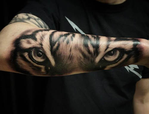 tattoo tigres brazo 1 - tigres