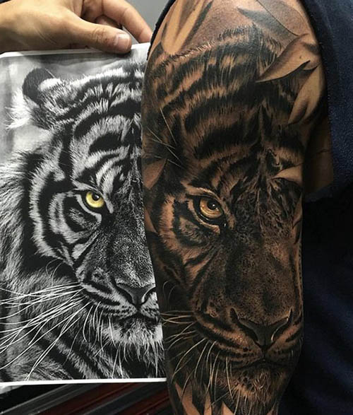 tattoo tigres brazo 2 - tigres