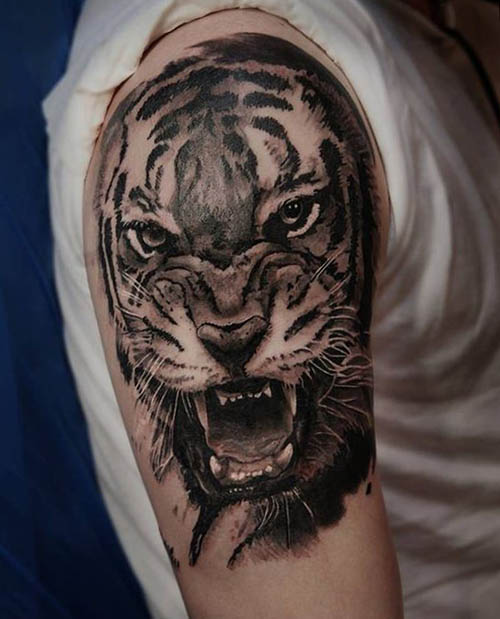 tattoo tigres brazo 3 - tigres