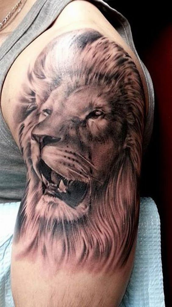 tatuajes leones en el brazo mangas tattoo 5 - leones