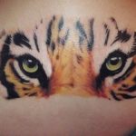65 Tatuajes de Tigres y sus Significados - Tatuajes Geniales tatuajes tigres bengalas 1 - tigres