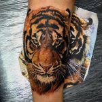 65 Tatuajes de Tigres y sus Significados - Tatuajes Geniales tatuajes tigres bengalas 5 - tigres