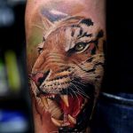 65 Tatuajes de Tigres y sus Significados - Tatuajes Geniales tatuajes tigres brazo hombro 5 - tigres