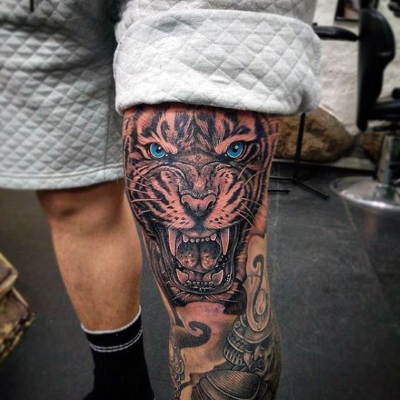 tatuajes tigres en la pierna rodilla tobillos 1 - tigres