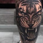 65 Tatuajes de Tigres y sus Significados - Tatuajes Geniales tatuajes tigres en la pierna rodilla tobillos 2 - tigres