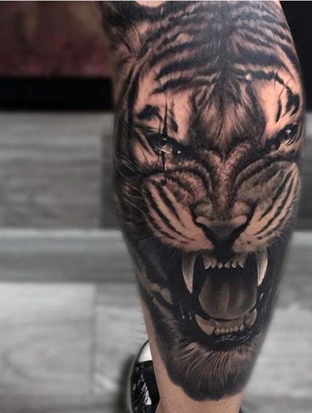 tatuajes tigres en la pierna rodilla tobillos 2 - tigres