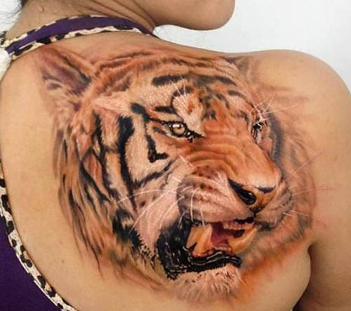 tatuajes tigres espalda 3 - tigres