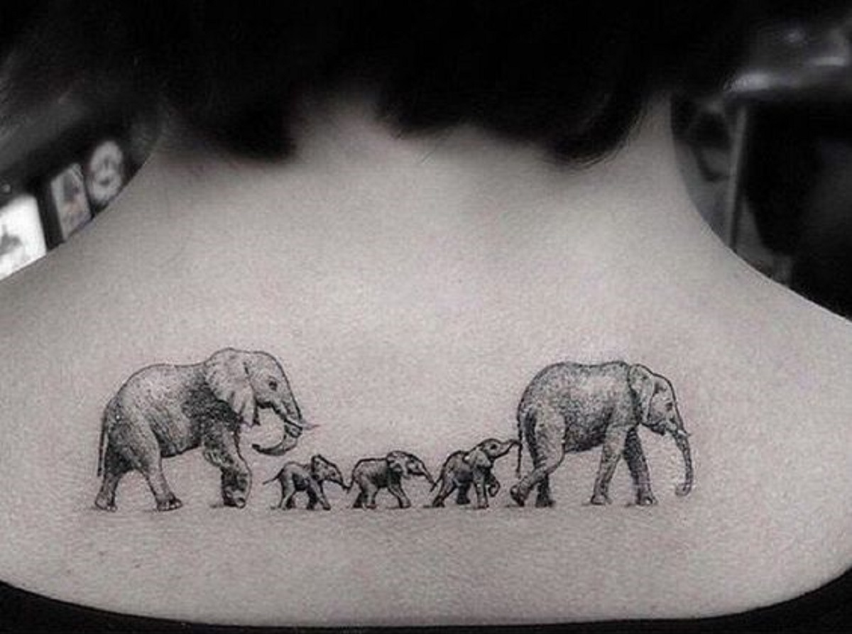portada tatuajes de elefantes - tatuajes de perros