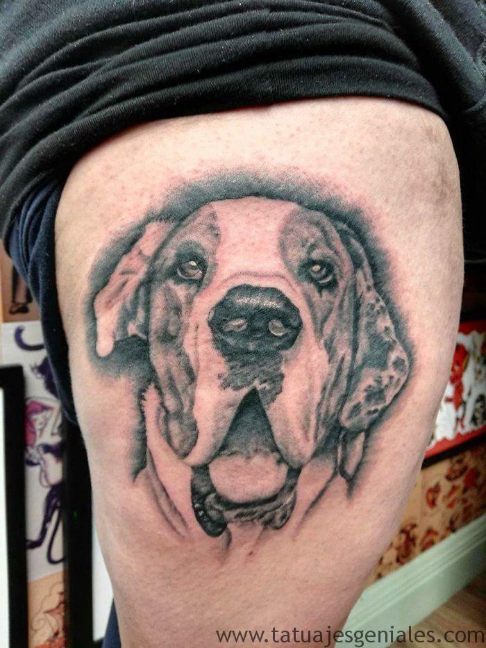 tatuajes perros boxer 2 - tatuajes de perros