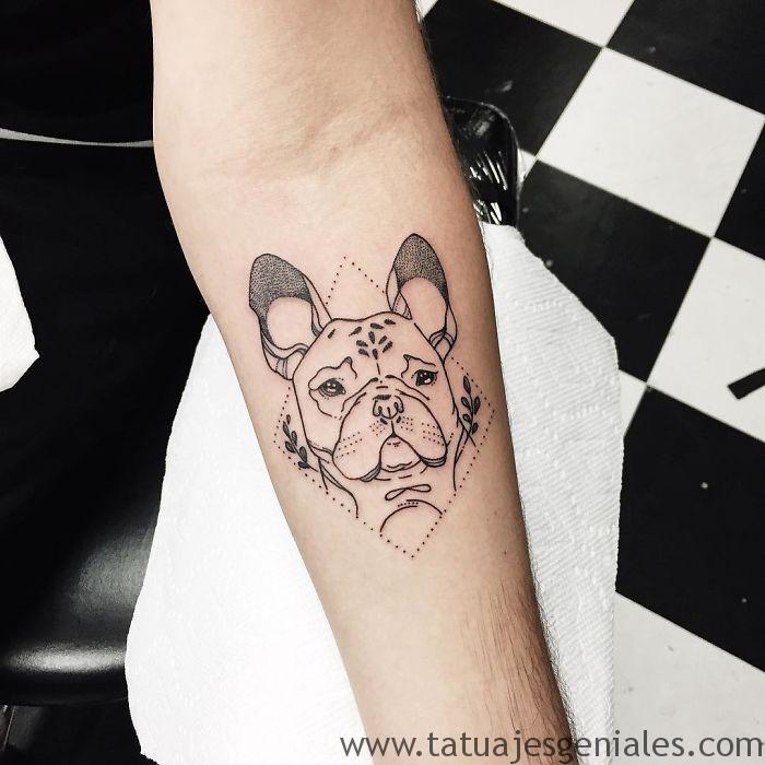 tatuajes perros pitbull 1 - tatuajes de perros