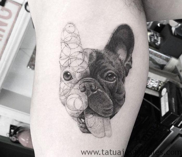 tatuajes perros pitbull 3 - tatuajes de perros