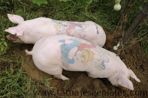 cerdos tatuados 1