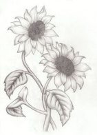 diseños-de-girasoles (2)