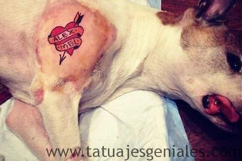 perros tatuados 1