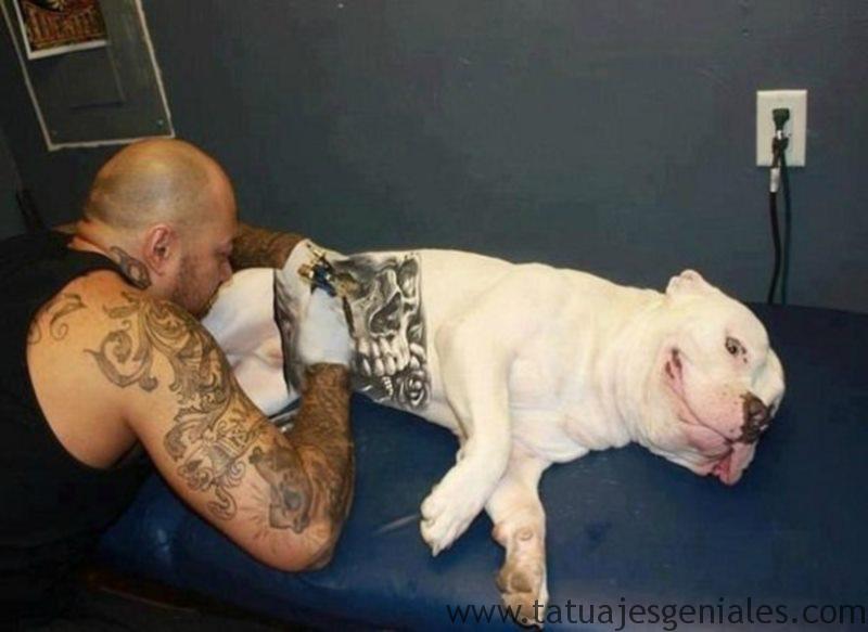 perros tatuados 1