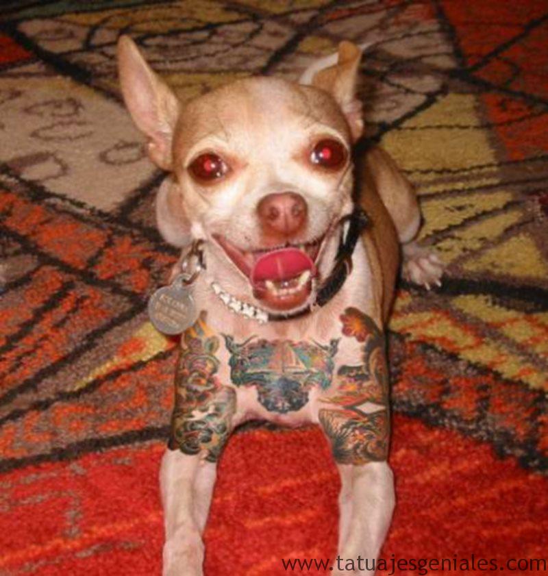 perros tatuados 4