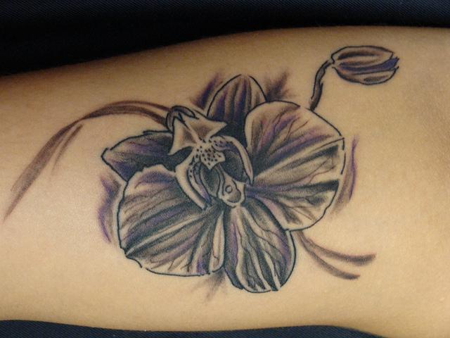 orquidea flores 7 - tatuajes de orquídeas