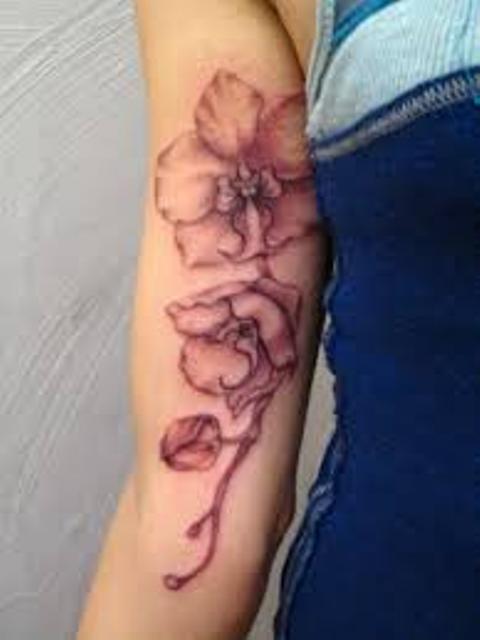 orquideas brazo 11 - tatuajes de orquídeas