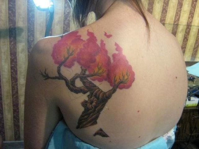 arboles a color 1 - tatuajes de árboles