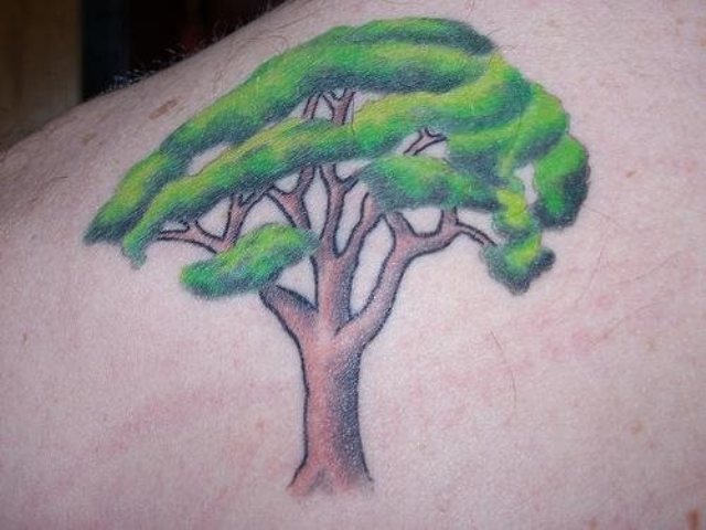 arboles a color 5 - tatuajes de árboles