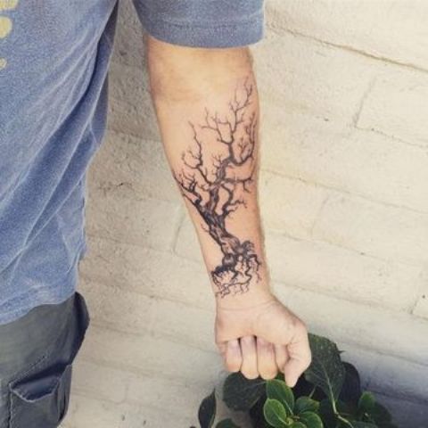 para hombres 2 - tatuajes de árboles