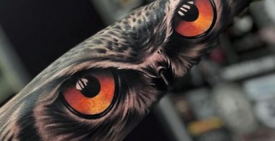 Los mejores Tatuajes del Mundo (+ Significados) ojos de buho 4 390x200