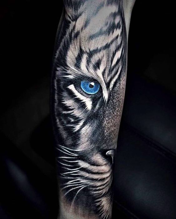 ojos de tigre 5 - tatuajes de ojos