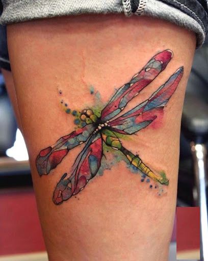 a color lubelulas 1 - tatuajes de libélulas