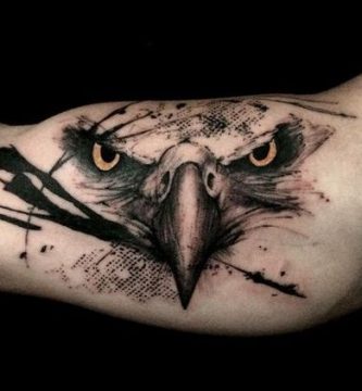 aguilas - tatuajes de gatos