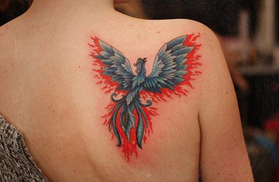 avefenix en tatuajes 1 - Tatuajes de ave fénix