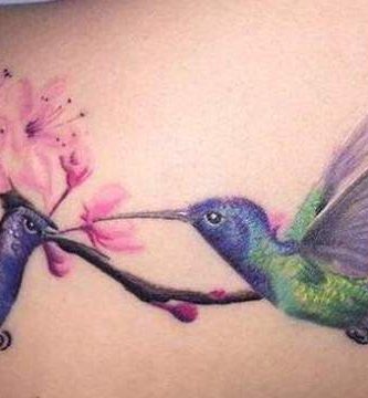 colibri - tatuajes de gatos
