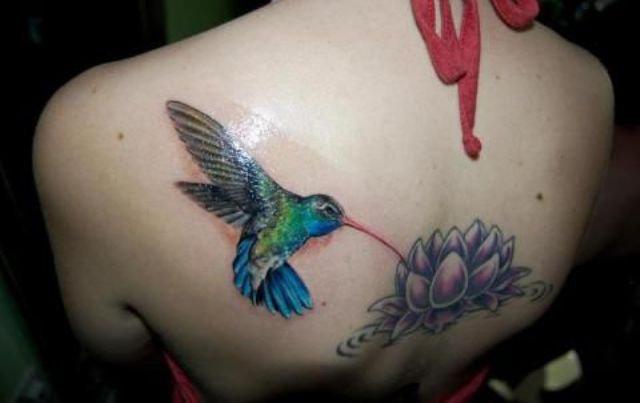 colibri en la espalda 4 - tatuajes de colibrí