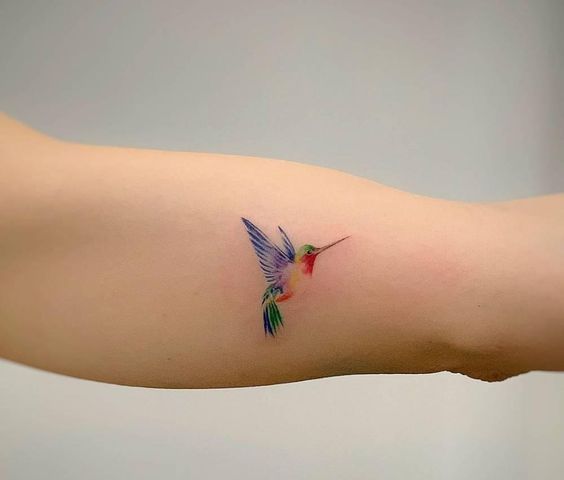67 Tatuajes de Colibrí: Ideas y Significados - Tatuajes Geniales colibri pequeños 5 - tatuajes de colibrí